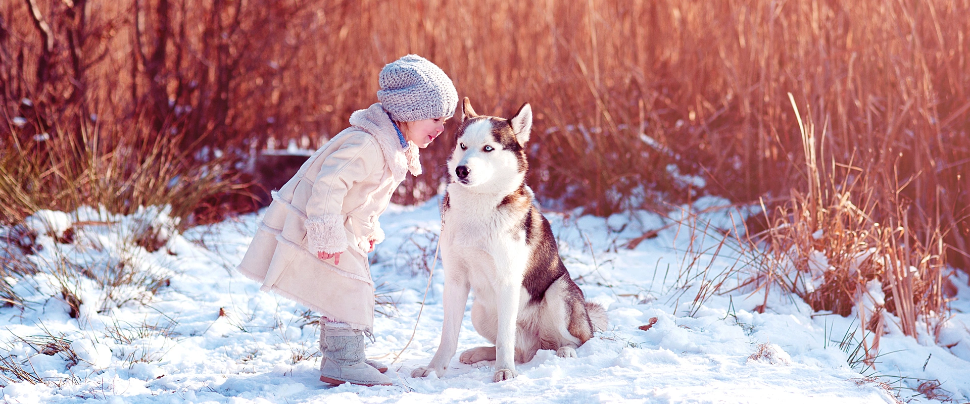 Child Photography by J Light Studio