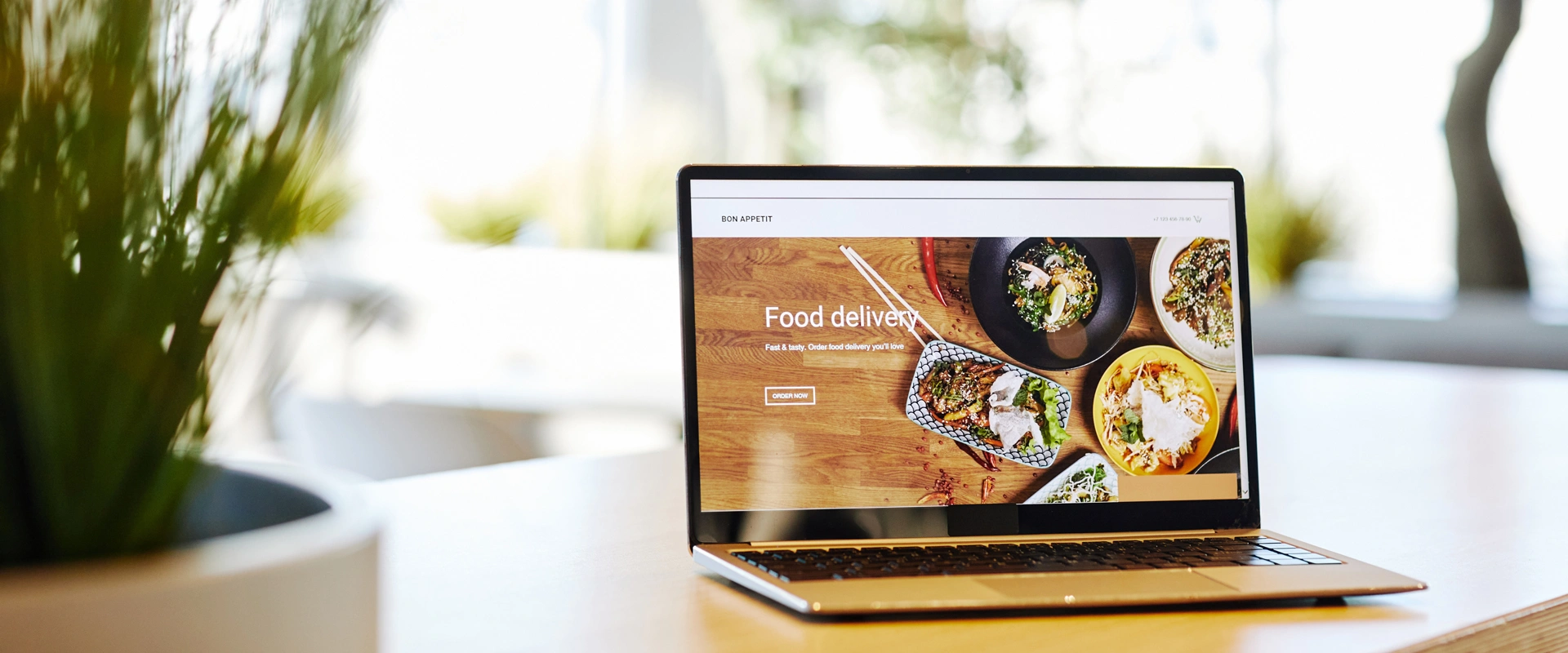 Website design packages
